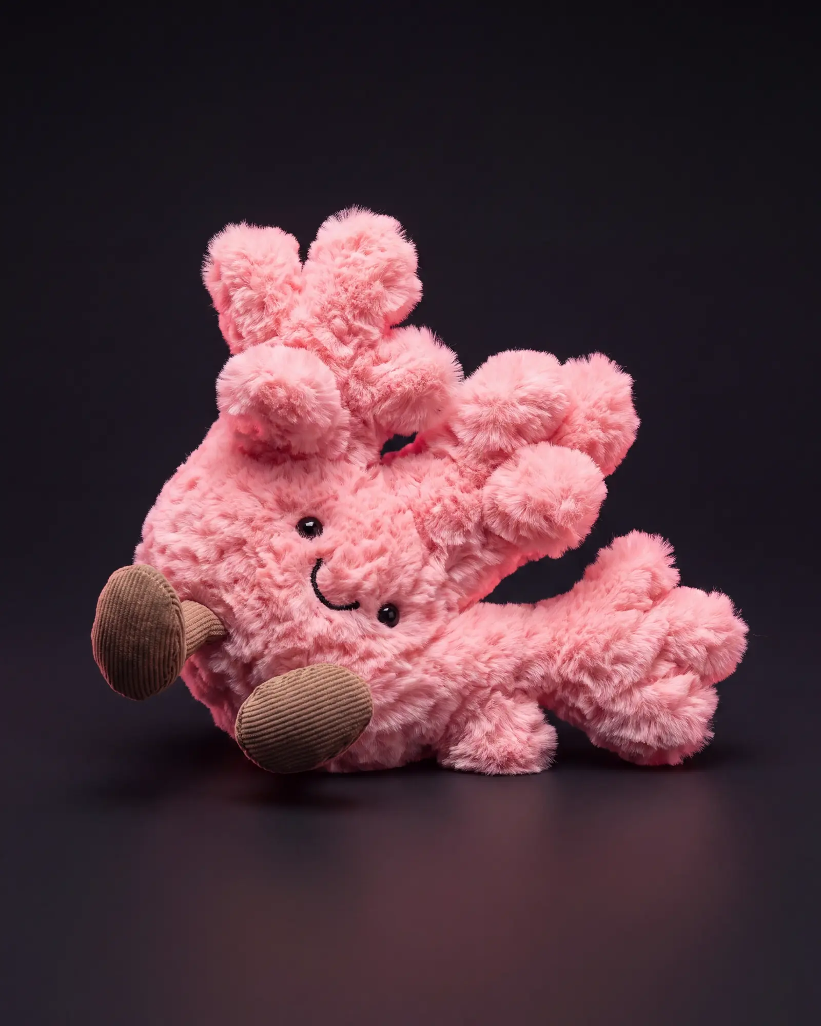 Amuseables Coral, 어두운 스튜디오 배경.