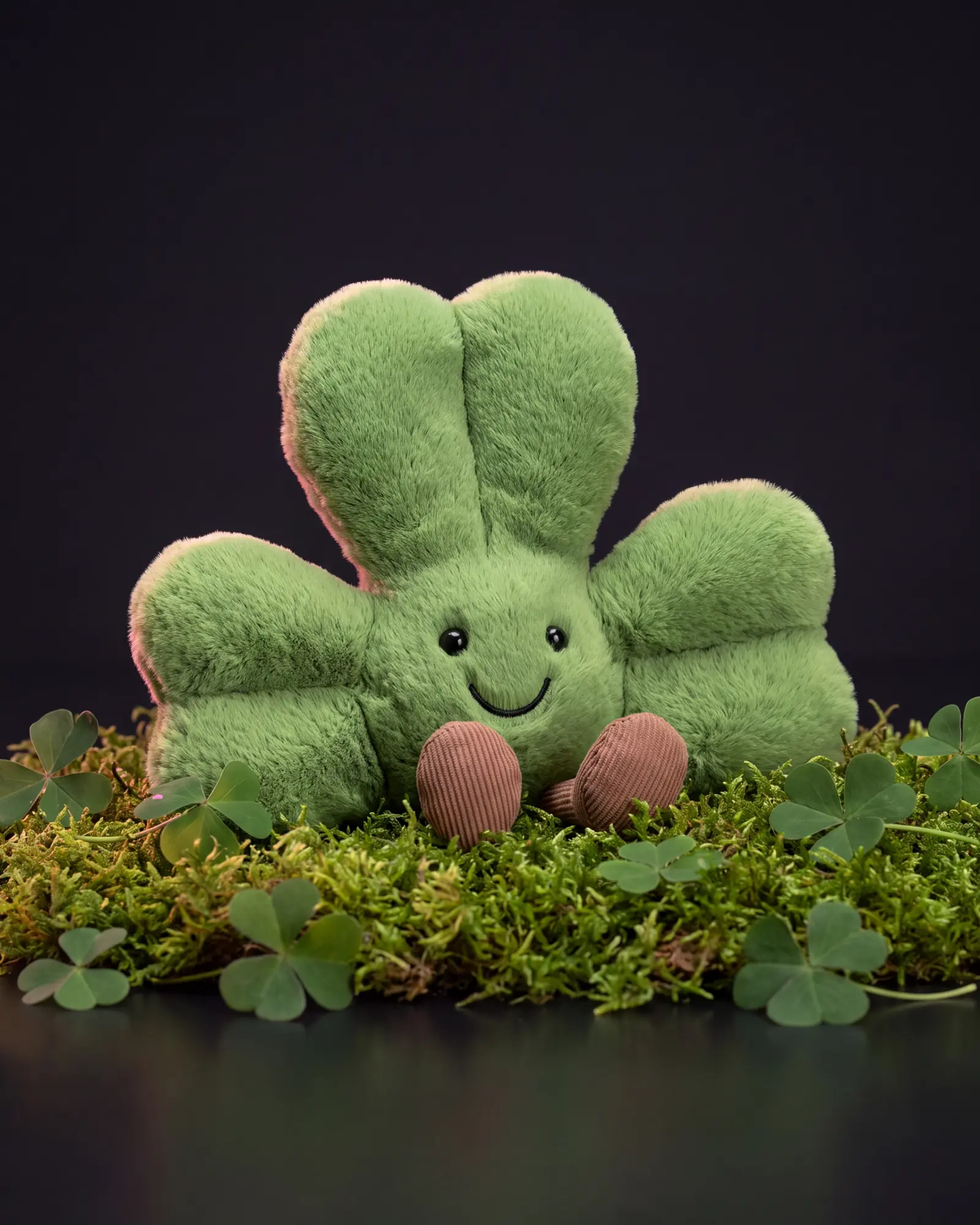 Amuseables Siofra Shamrock, 두 번째 각도.