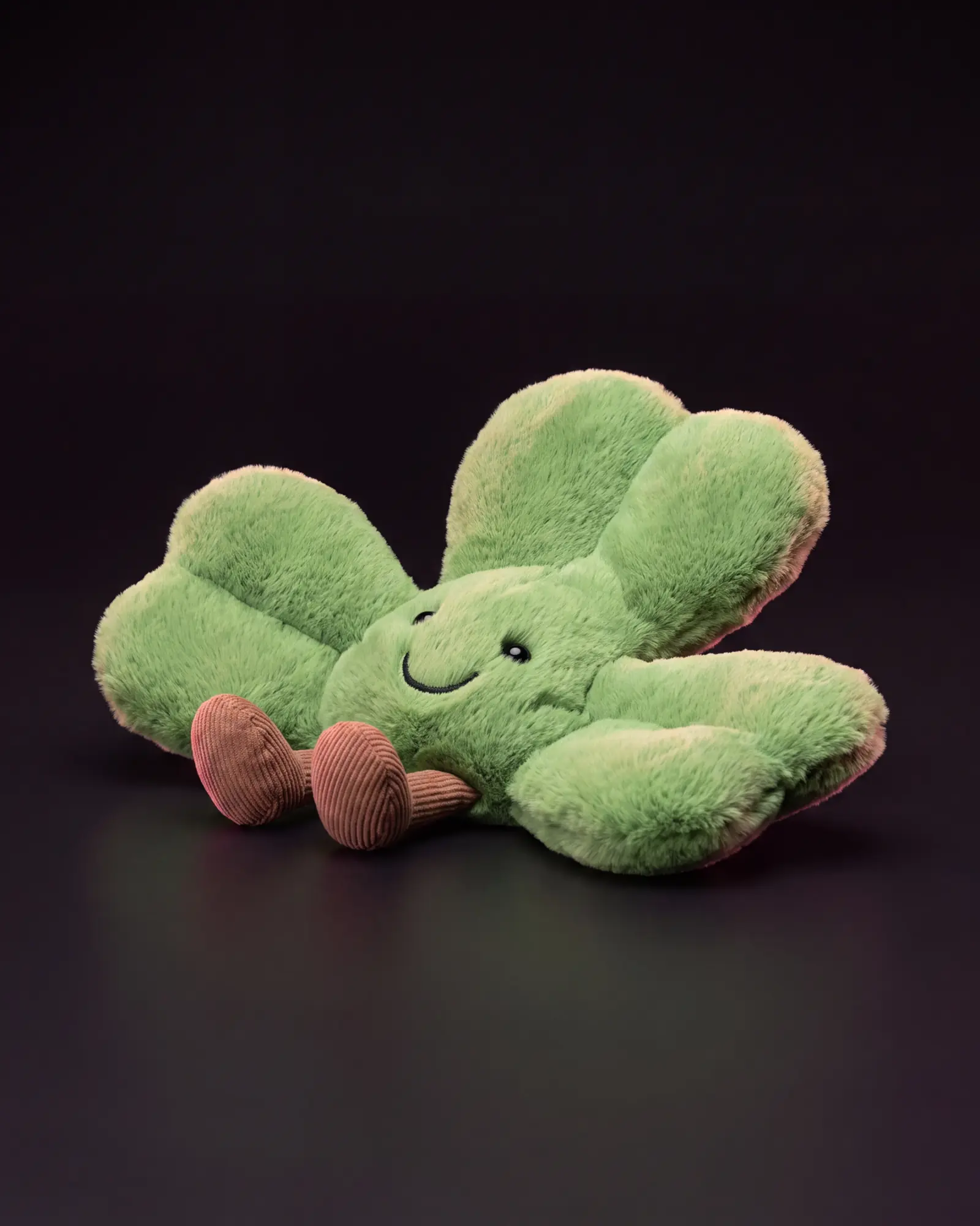 Amuseables Siofra Shamrock, 어두운 스튜디오 배경.