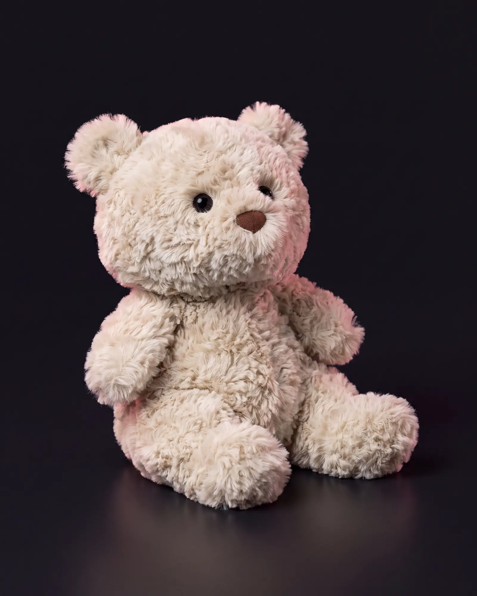 Bartholomew Bear Junior, 어두운 스튜디오 배경.