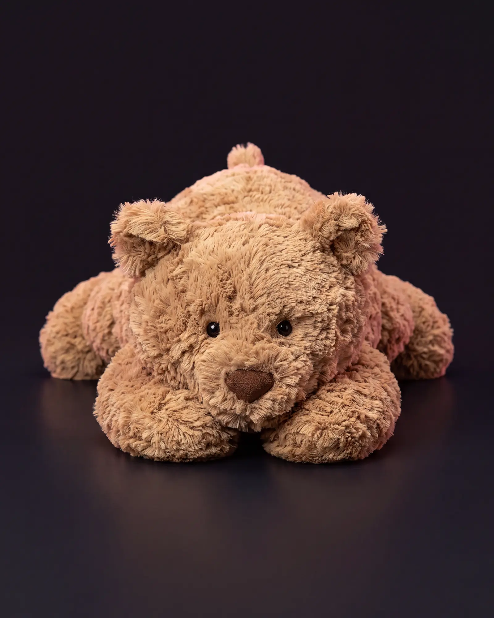 Bartholomew Bear, 어두운 스튜디오 배경.