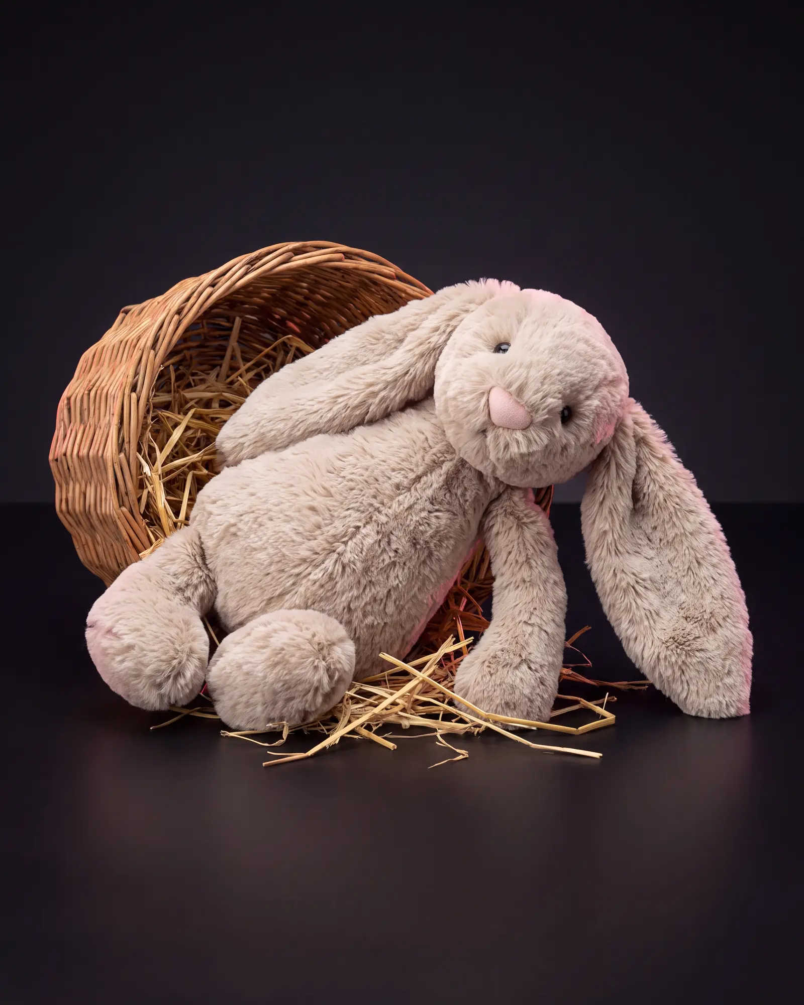 Bashful Beige Bunny, 두 번째 각도.