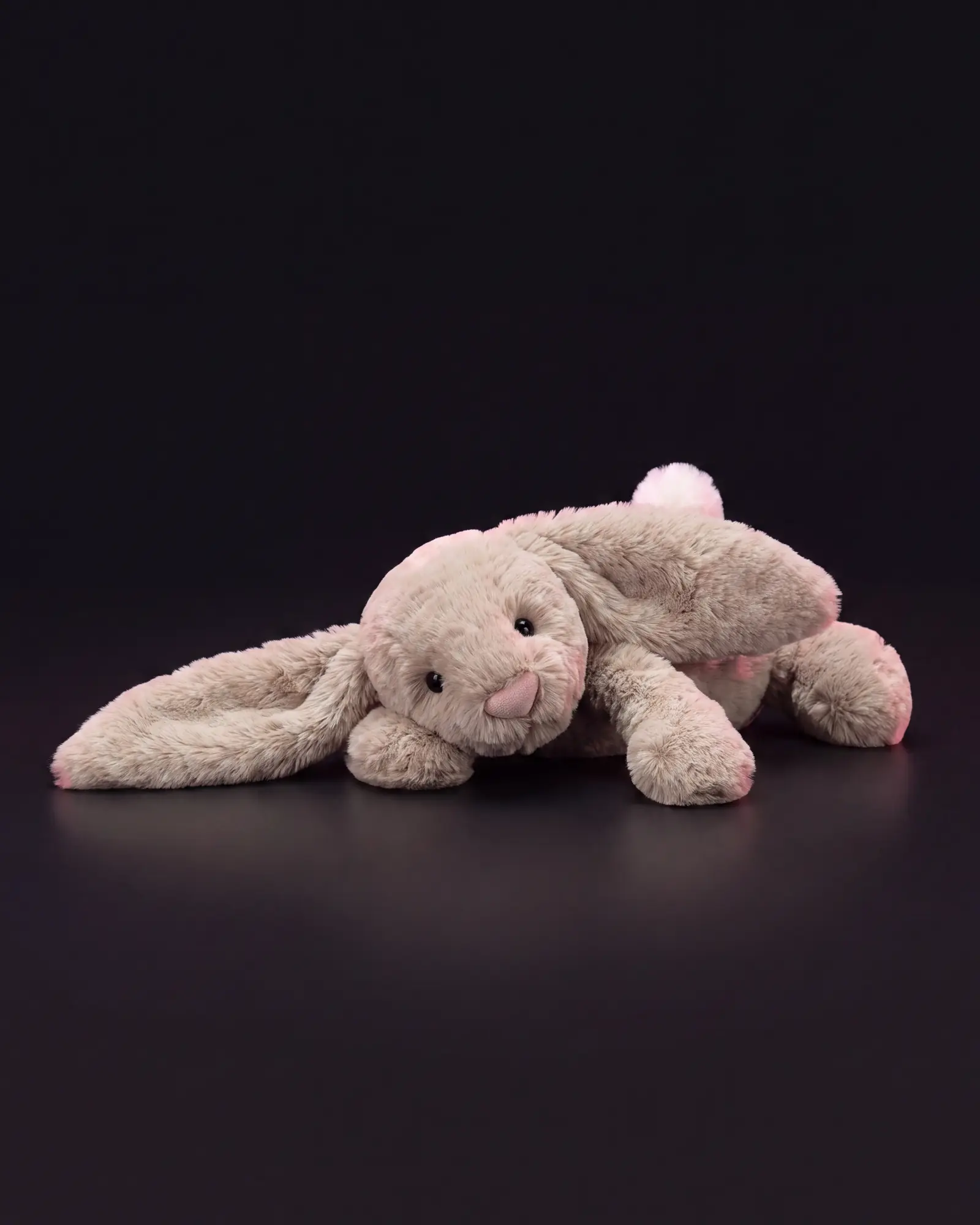 Bashful Beige Bunny, 어두운 스튜디오 배경.