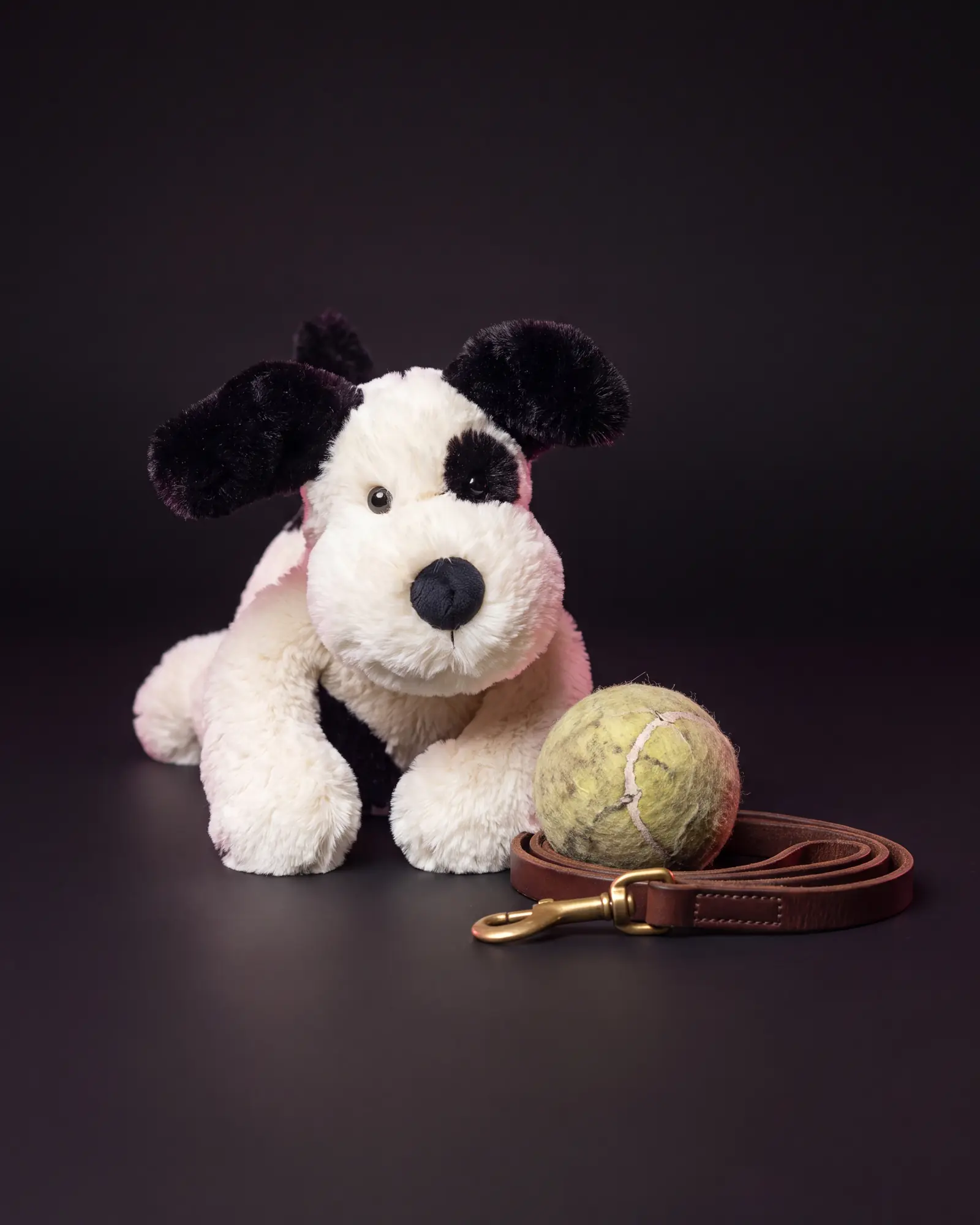 Bashful Black & Cream Puppy, 두 번째 각도.