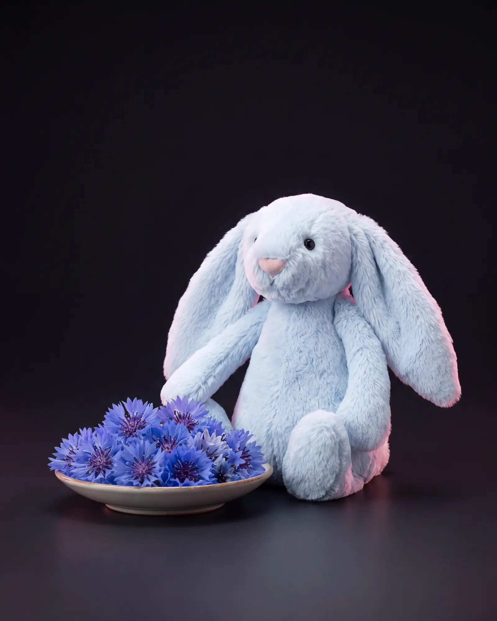 Bashful Blue Bunny, 두 번째 각도.