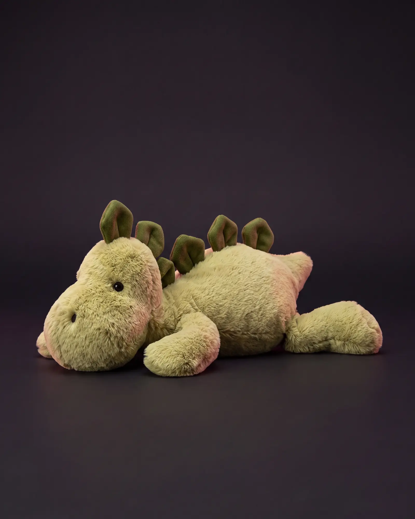 Bashful Dino, 어두운 스튜디오 배경.