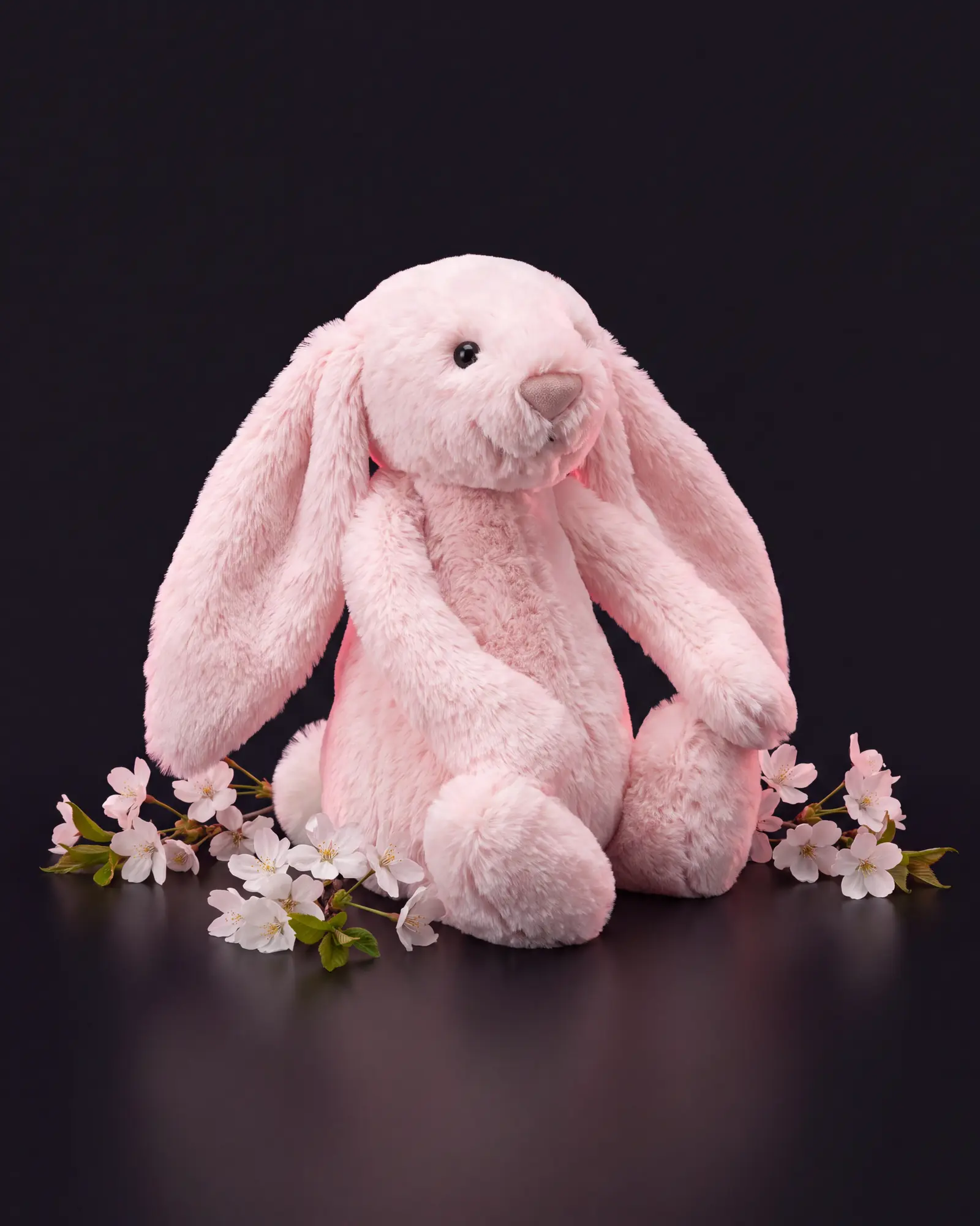 Bashful Pink Bunny, 두 번째 각도.