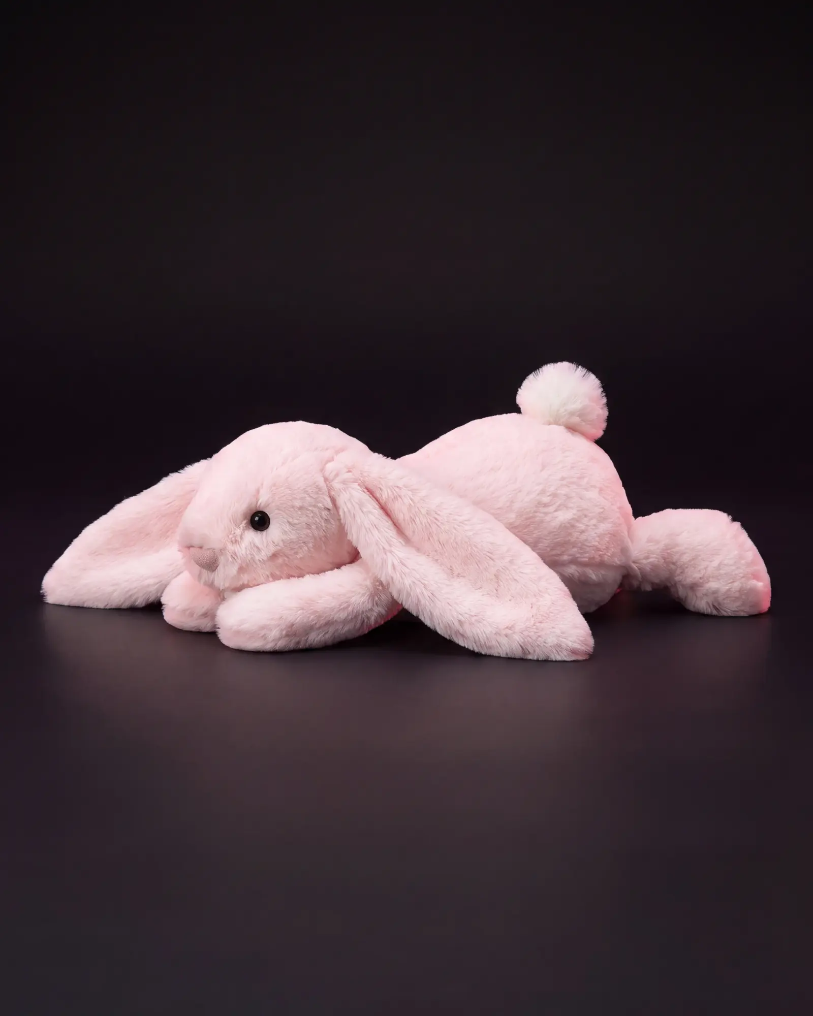Bashful Pink Bunny, 어두운 스튜디오 배경.