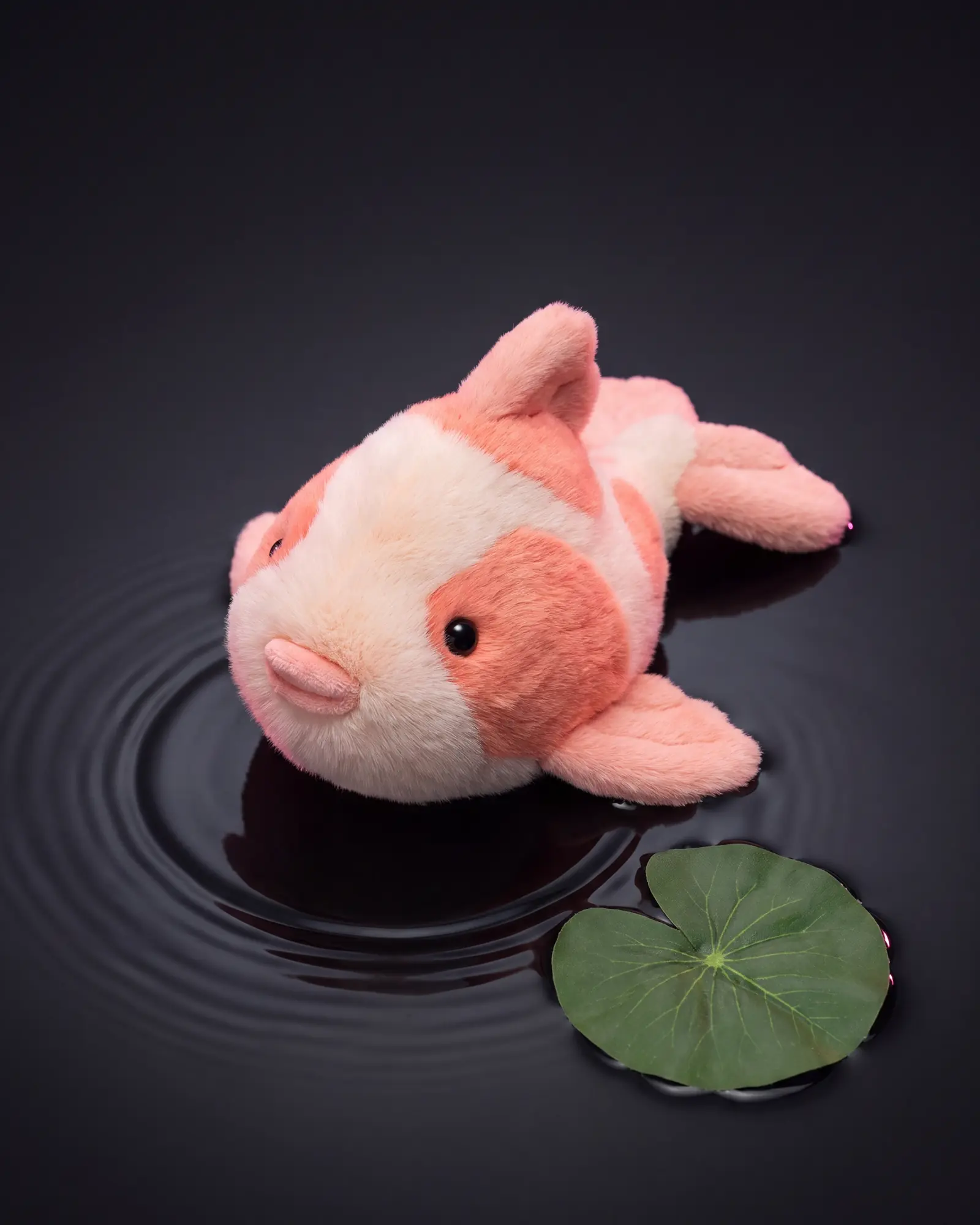 Fancy Carp, 두 번째 각도.