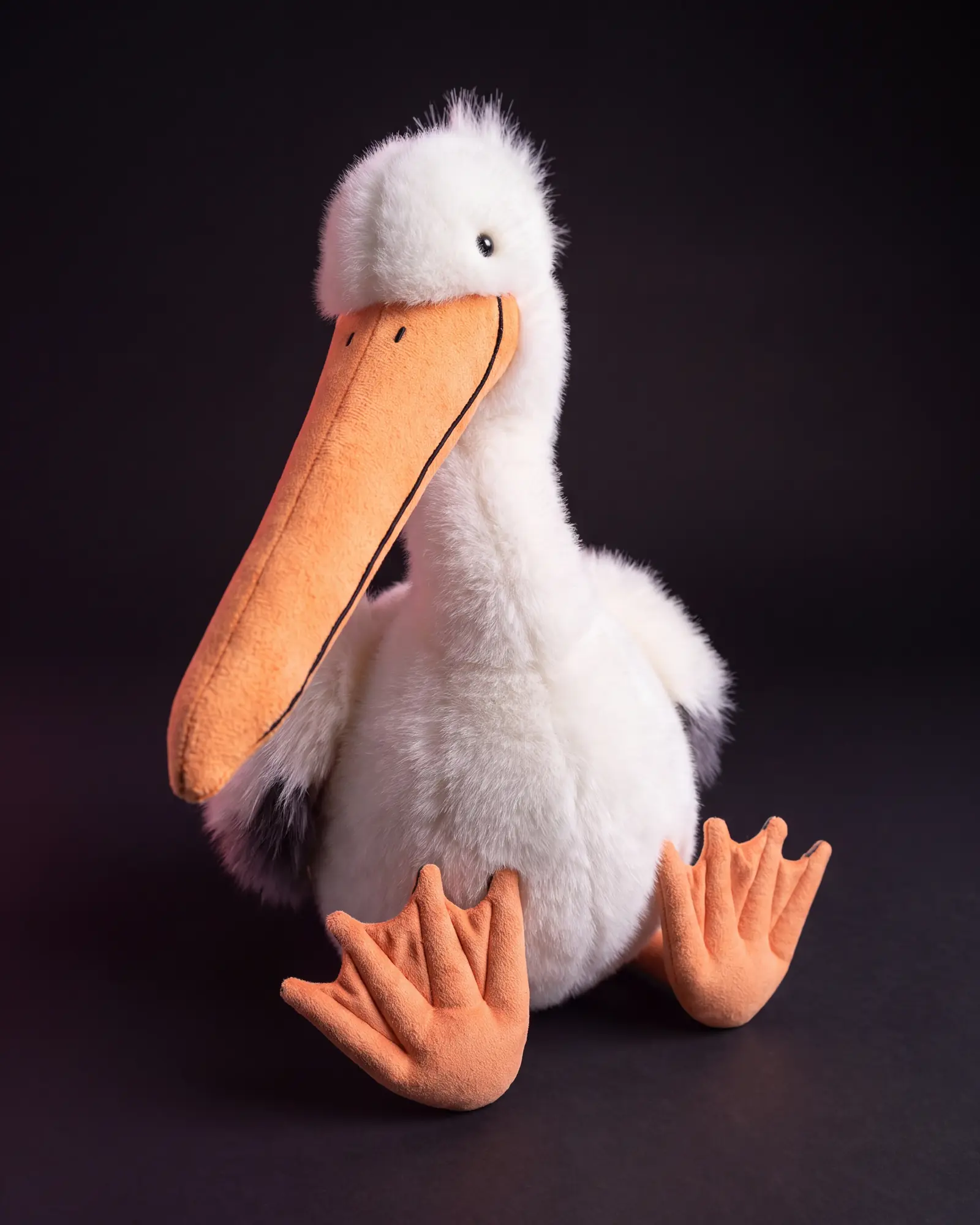 Keli Pelican, 어두운 스튜디오 배경.