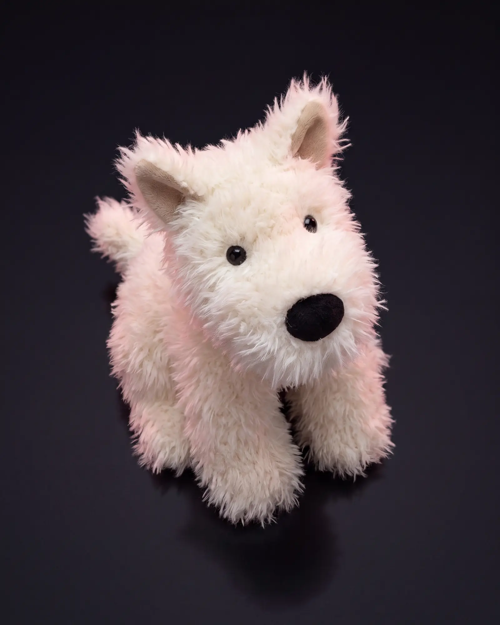 Munro Scottie Dog, 어두운 스튜디오 배경.
