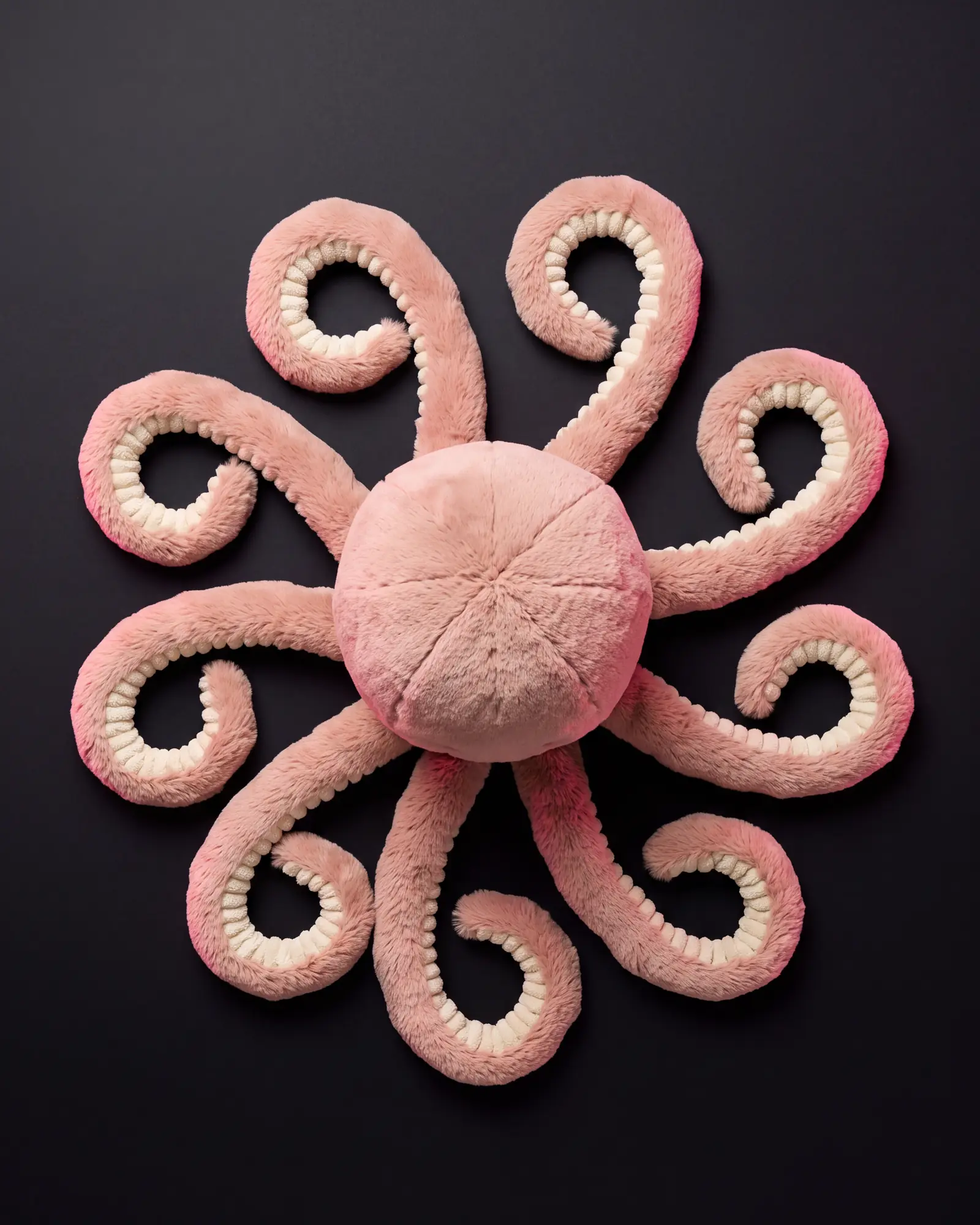 Odell Octopus, 어두운 스튜디오 배경.