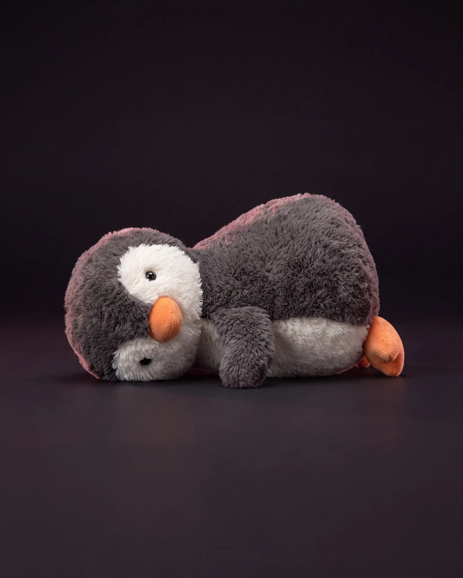 Peanut Penguin, 어두운 스튜디오 배경.