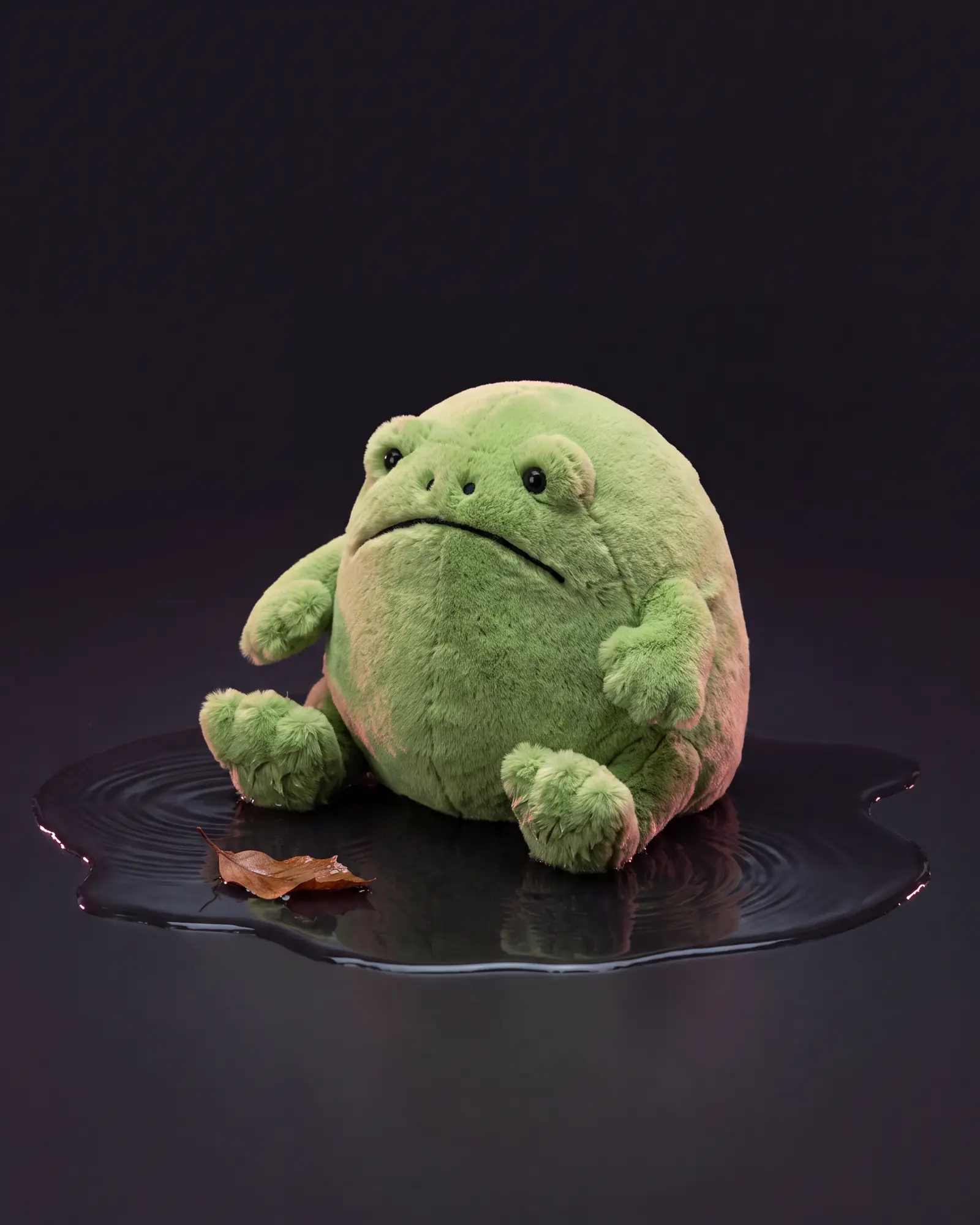 Ricky Rain Frog, 두 번째 각도.