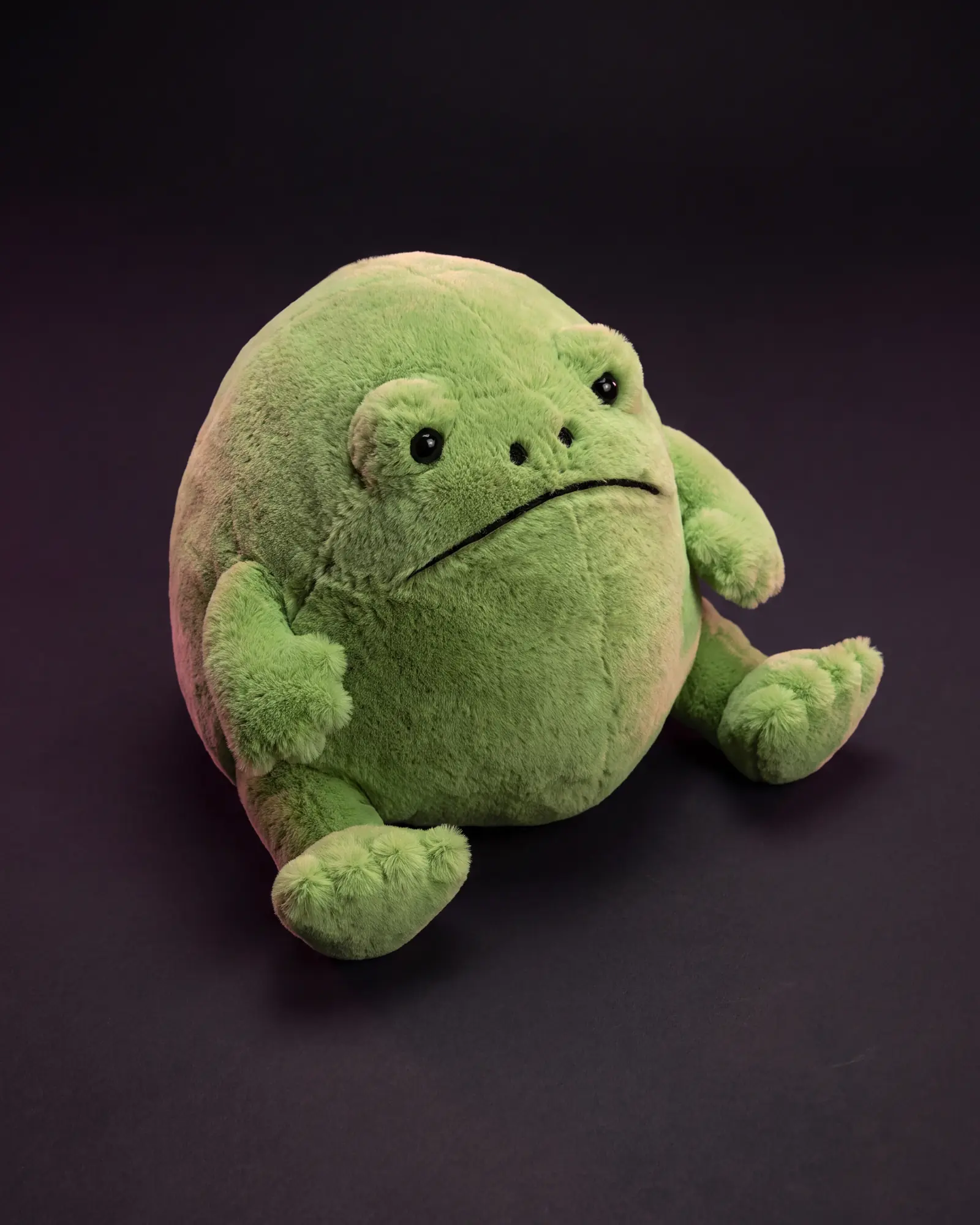 Ricky Rain Frog, 어두운 스튜디오 배경.