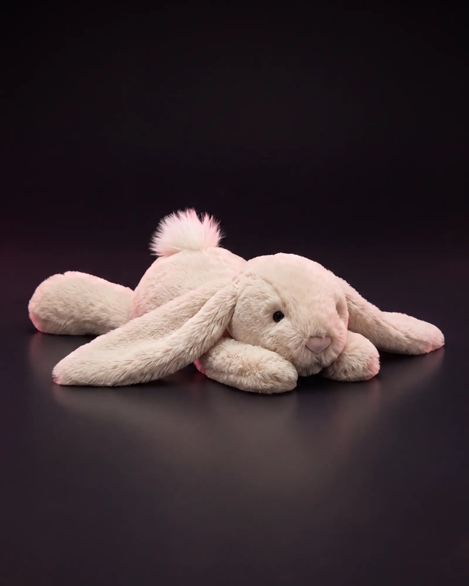 Smudge Rabbit, 어두운 스튜디오 배경.