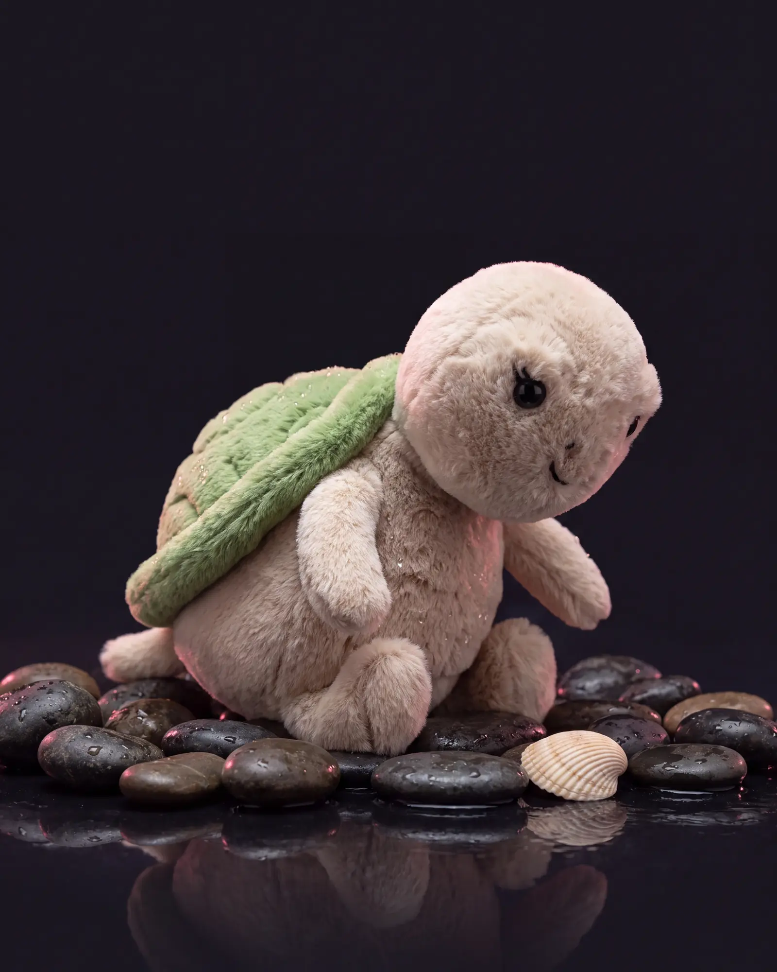 Thimble Turtle, 두 번째 각도.